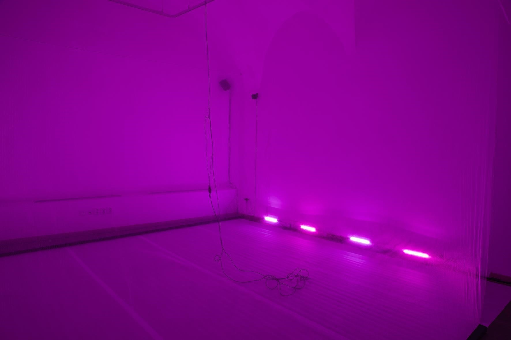 Zvukov instalcia Psalm Alexandry Cihanskej Machovej